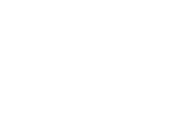 White_Universidad Politecnica de Valencia logo